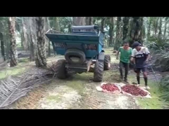 تراکتور روغن پالم WEA08